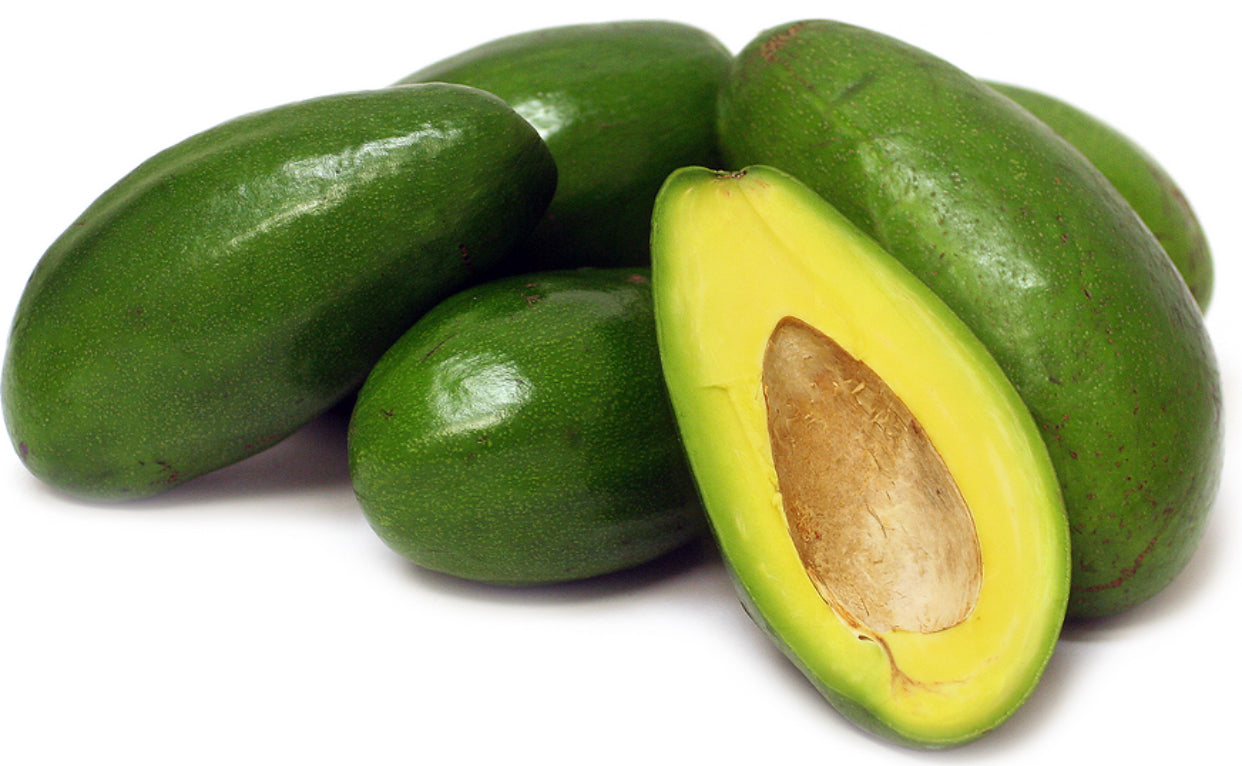 Florida Large Avocados (2) image 0